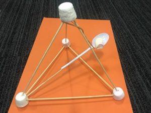 Marshmallow Catapult Challenge